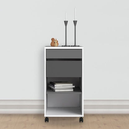 Function Plus Mobile File Cabinet 2 Drawers 1 shelf FSC Mix 70 % NC-COC-060652